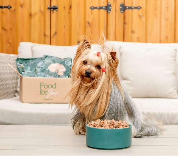 Comida perros raza pequeña